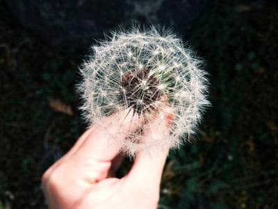 Vintage Revere Ware Copper Pot Set