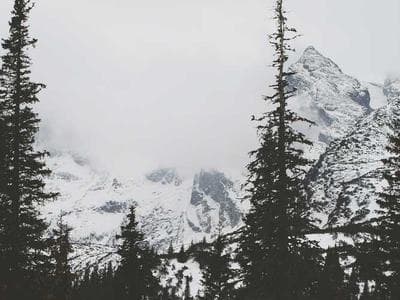 Mid-Century Lounge Chair