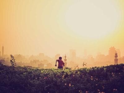 Mahogany Curio Cabinet with Glass Shelves