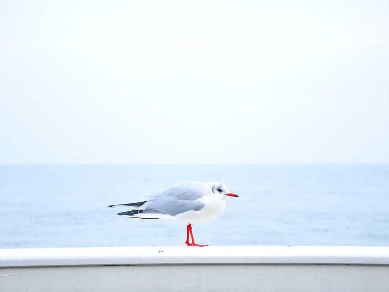 Knoll Florence Credenza — White Marble Top — thumbnail 2