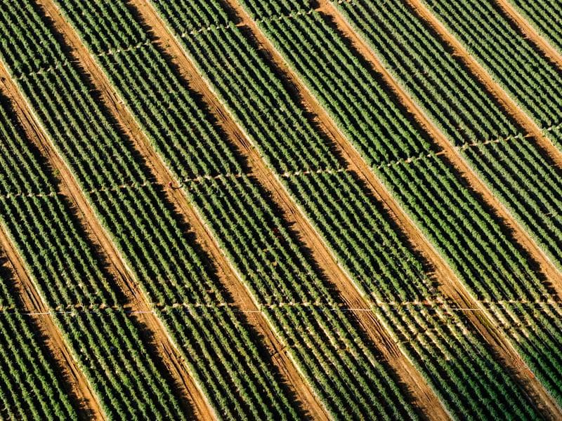 Federal Period Card Table — Mahogany with Inlay — photo 1 of 1